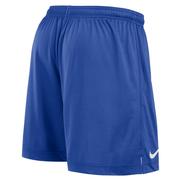 Kentucky Nike Reversible Mesh Shorts